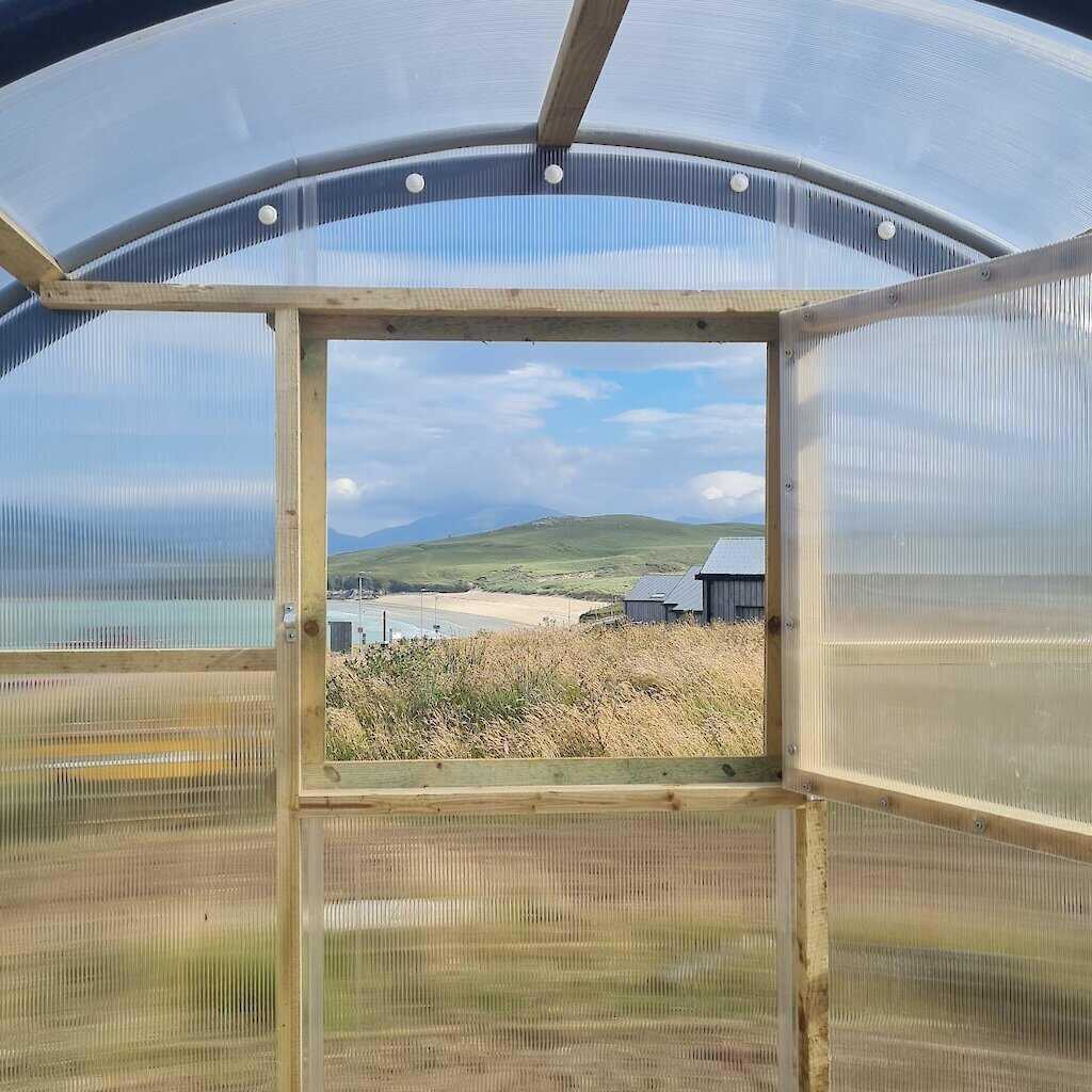 View from a Polycrub window.