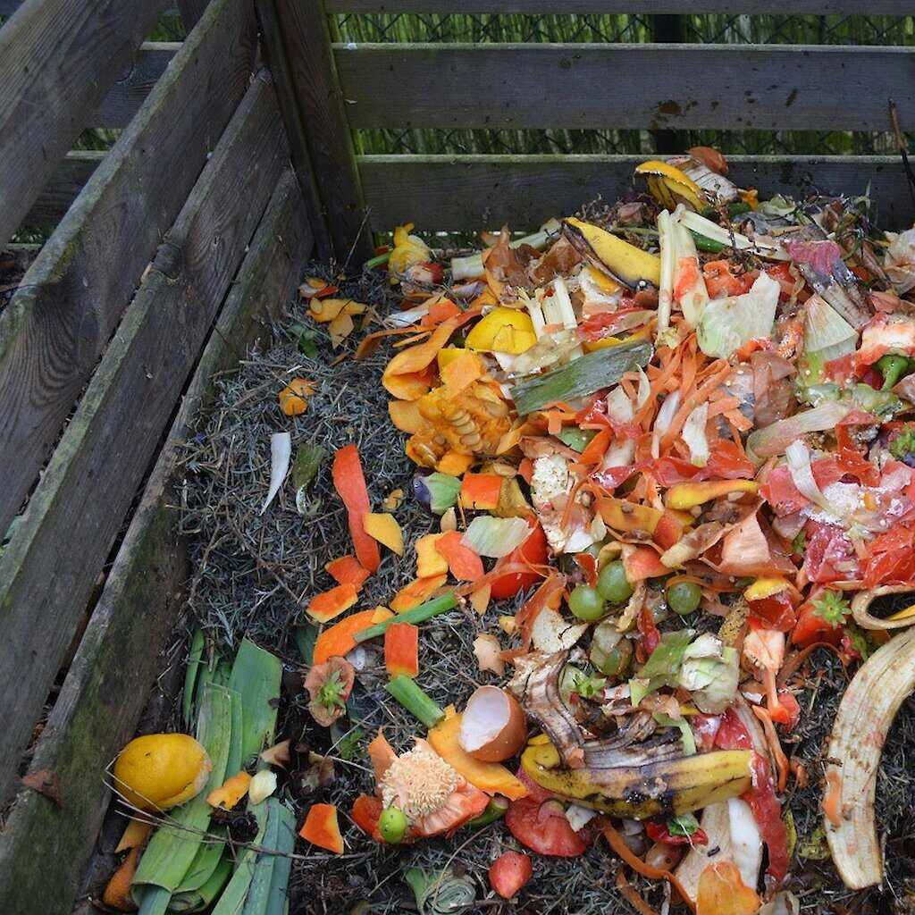 Compost from a Polycrub.