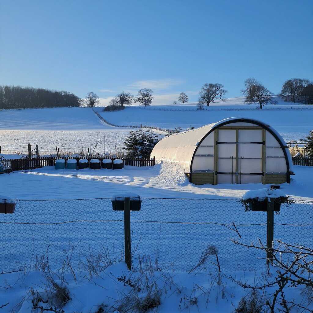 A snowy Polycrub.